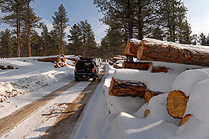 Xterra by snowy logs 