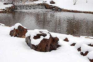 images at Highland Park pond in Centennial