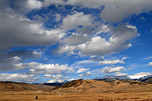 a lone tree and big sky along the road from Leadville to Buena Vista