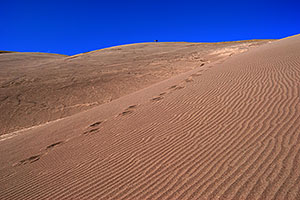 footprints in the sand and people on top of Great Sand Dunes