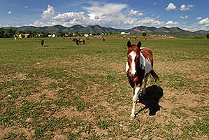 Painted Horse in Lakewood, Colorado â€¦ Red Rocks in the background