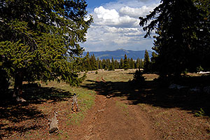 images along South Mt Elbert Trail