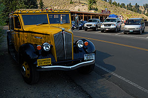 Yellow Yellowstone Tour Bus