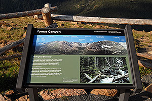 Forest Canyon (11,716 ft) along Trail Ridge Road
