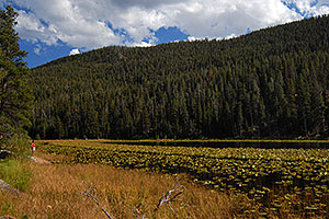 View of Cub Lake