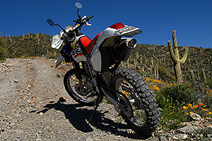 XR250 in Spring at Queen Valley in Superstition Mountains