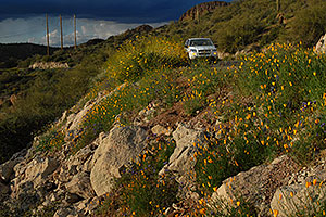 Apache Trail in Superstitions