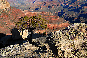 View from Mather Point in Grand Canyon