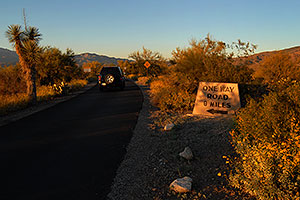 Road in Saguaro National Park