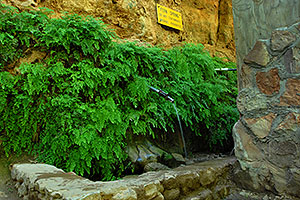Drinking water flowing out of the rock wall - filtered by nature as it flows through earth above