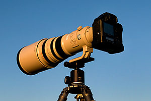 Canon 1D Mark III camera with Canon EF 500mm f/4 IS lens