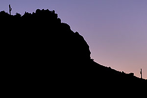 Cactus and Mountain Silhouettes of Superstitions
