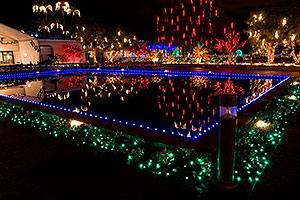 Mesa Temple Garden Christmas Lights Display