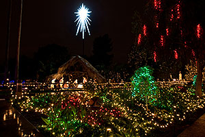 Mesa Temple Garden Christmas Lights Display