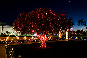 Christmas lights by Mesa Arizona Temple