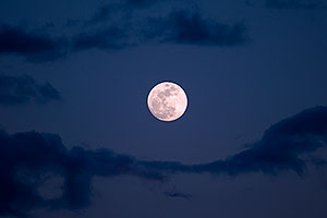 Moon over Riparian Preserve