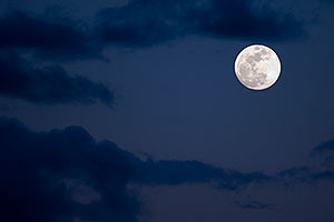 Moon over Riparian Preserve