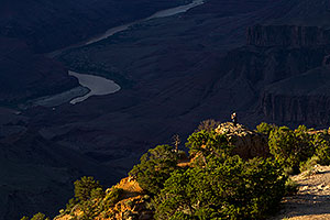 Images of Grand Canyon with Colorado River in the background
