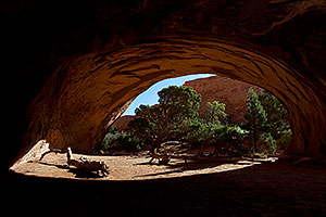 Navajo Arch in Arches National Park