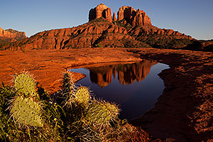 Cathedral Rock reflection in Sedona