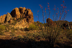 Late afternoon in Superstitions