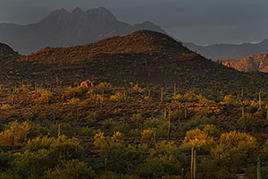 Evening in Superstitions