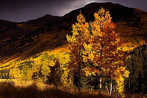Fall Colors in Maroon Bells, Colorado