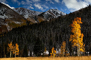 Fall Colors in Maroon Bells, Colorado