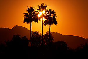 Sunrise in Lake Havasu City, Arizona