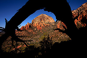 Tree Arch view of Thunder Mountain (Capital Butte) in Sedona