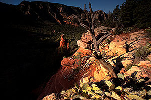 Prickly Pear Cactus and Hoodoo at Schnebly Hill in Sedona