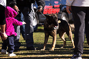 K9 Police dog Thor at Lake Havasu Balloon Fest