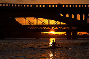 Rowers at Tempe Town Lake