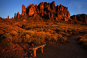 Lost Dutchman State Park in bloom in Superstitions, Arizona