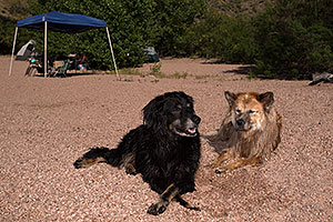 Dudley and Booda at Apache Lake