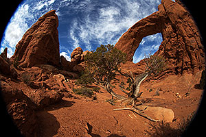 South Window in Arches National Park