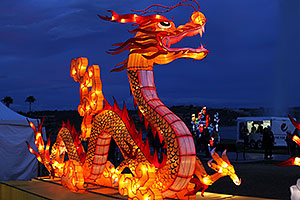 Dragon at Chinese New Year Lantern Culture and Arts Festival 2014