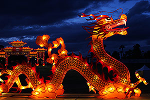 Dragon at Chinese New Year Lantern Culture and Arts Festival 2014