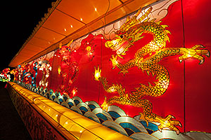 Dragon wall at Chinese New Year Lantern Culture and Arts Festival 2014