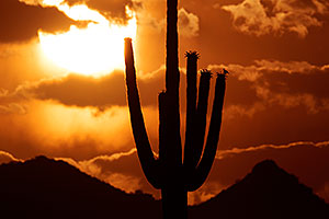 Sunset in Superstitions