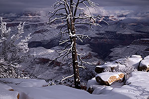 Snow in Grand Canyon, Arizona