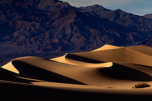 Mesquite Sand Dunes in Death Valley