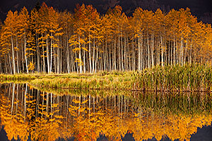 Images of Owl Creek Pass