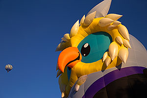 Owl balloon in Lake Havasu