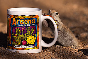 Round Tailed Ground Squirrel with Arizona mug