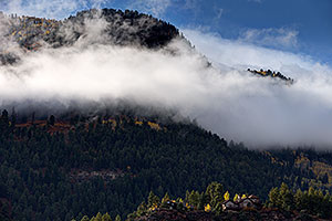 Fog by Durango