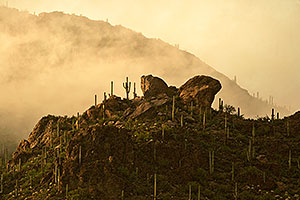 Tucson Mountains