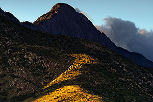 Santa Rita Mountains