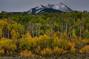 Fall colors at McClure Pass, Colorado