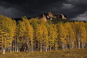 Fall colors at Owl Creek Pass, Colorado